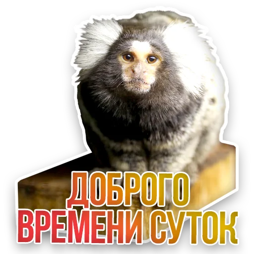 Стикер Недомашние животные