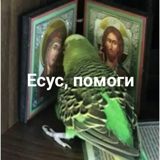 Стикер Windy31