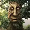 🌳