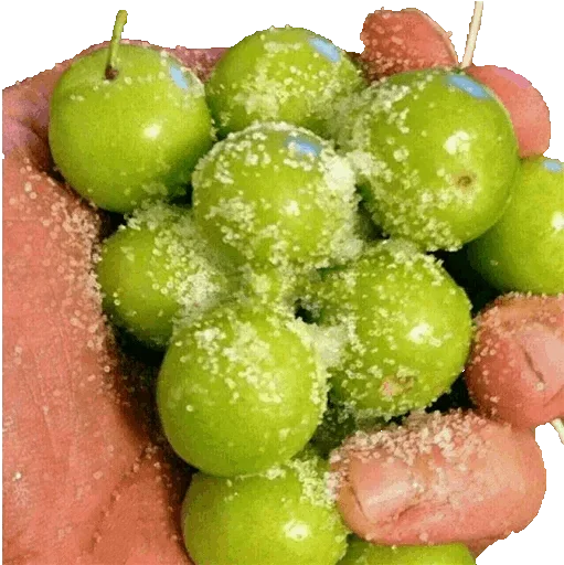 Стикер Wonderful Food