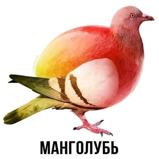 Стикер Слово+слово