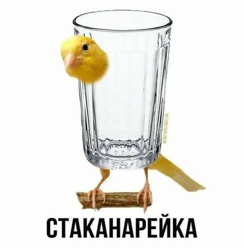Стикер Слово+слово