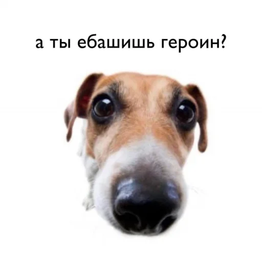 Стикер Я в КАКАО