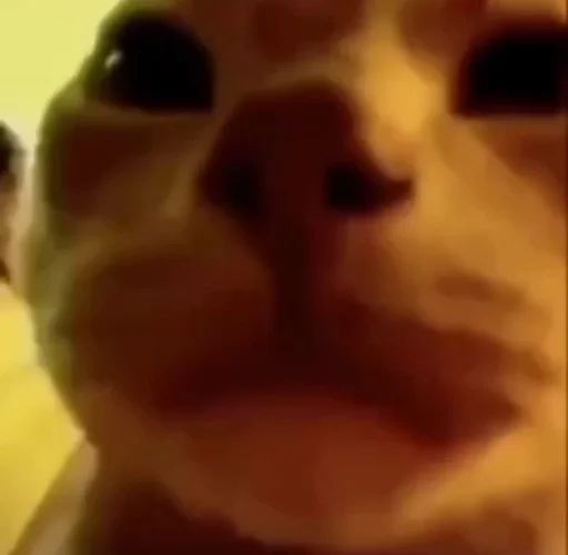 Стикер уебенкс