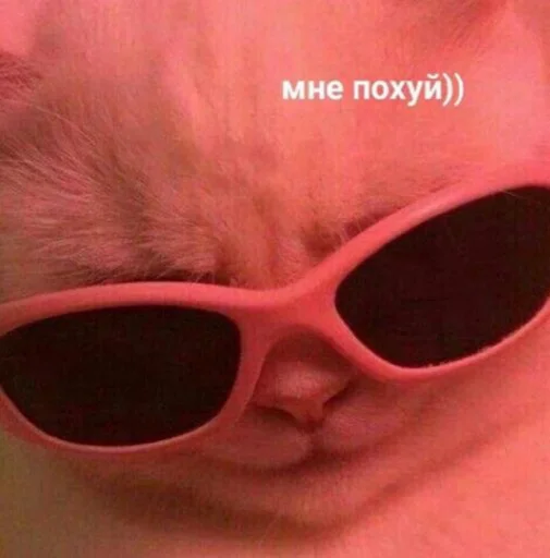 Стикер Dont save