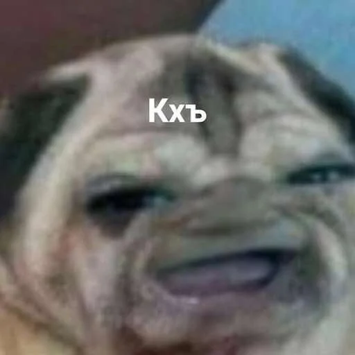 Стикер Memes | Мемы