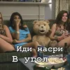 Стикер Ted