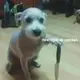 Стикер Жизяка🥲