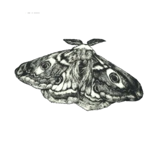 Стикер aesthetic