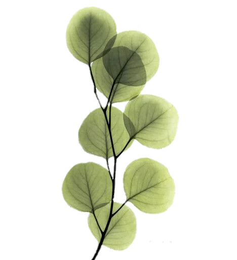 Стикер aesthetic