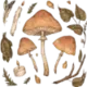 Эмодзи goblincore