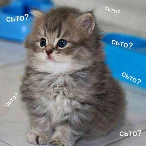 Стикер Purpose