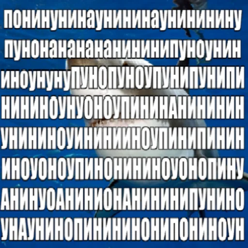 Стикер акулыч