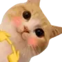🥹