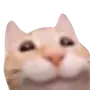 Эмодзи Lots Of Kitties