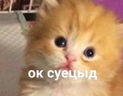 😣