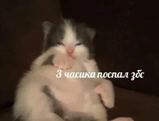 Стикер ебучие животные