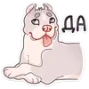 Стикер Аркадий