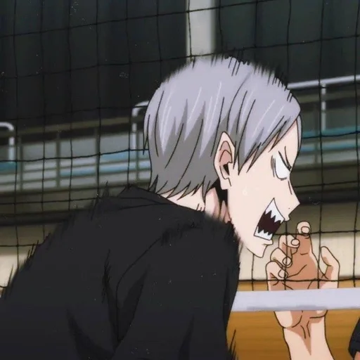 Стикер Lev Haiba