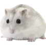 Эмодзи Hamsters