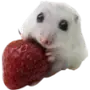 Эмодзи Hamsters