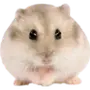 Эмодзи Hamsters