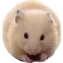 Эмодзи Hamsters