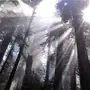 Эмодзи Twilight