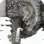 Эмодзи snow leopard