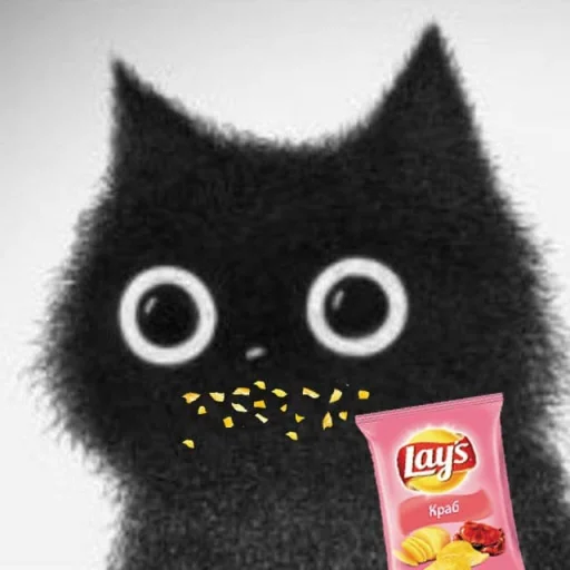 Стикер Based Cat