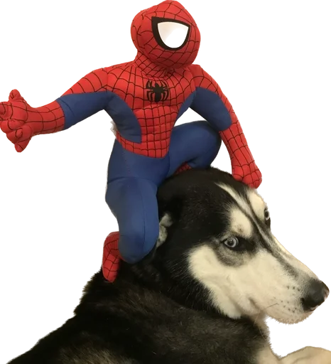 Стикер based memes