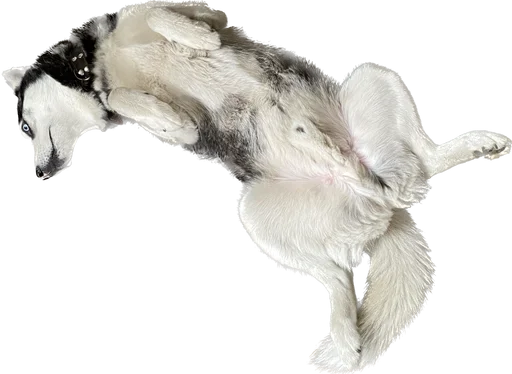 Стикер based memes