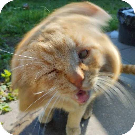 Стикер БЛОПТОП 3D 2.0