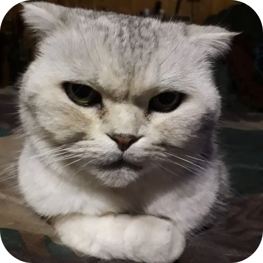 Стикер БЛОПТОП 3D 2.0