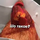 Стикер БЛОПТОП