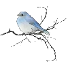 Эмодзи blue white