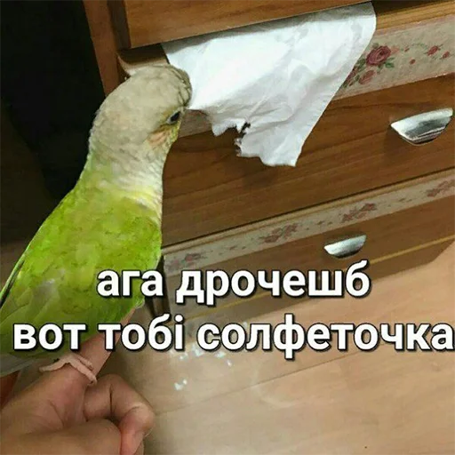 Стикер Я орал, меня ловили