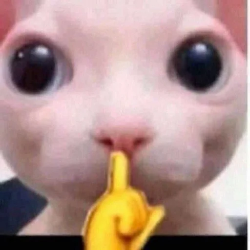 Стикер бингус и другие