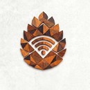Шишка VPN