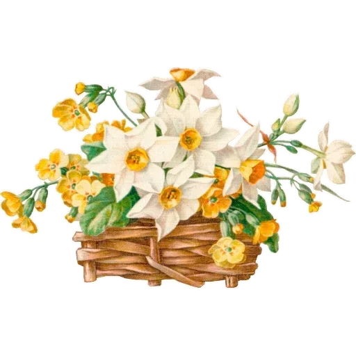 Стикер Bow