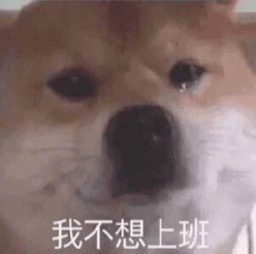 Стикер 😂爆笑😂乐园👉