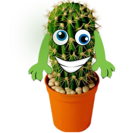 Стикер cactus