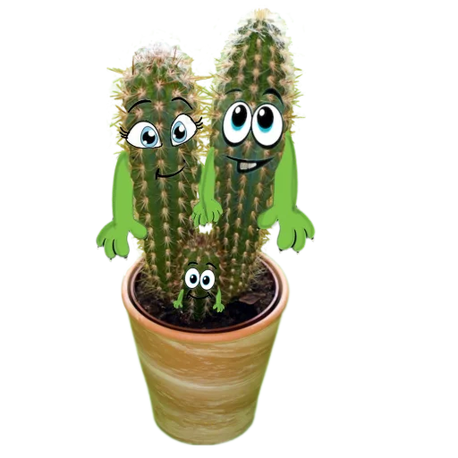 Стикер cactus