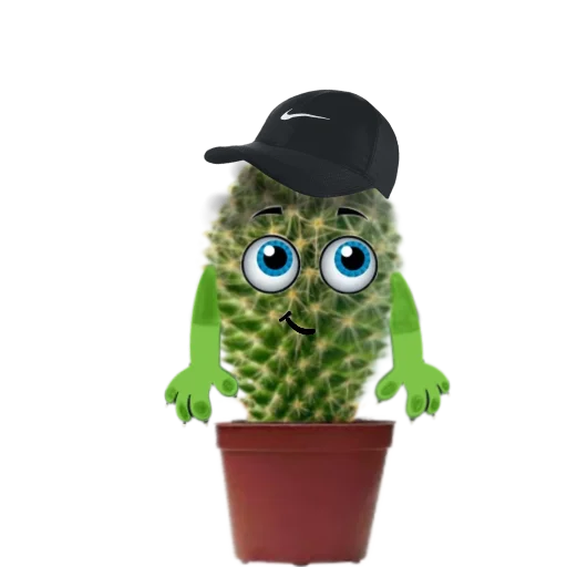 Стикер cactus