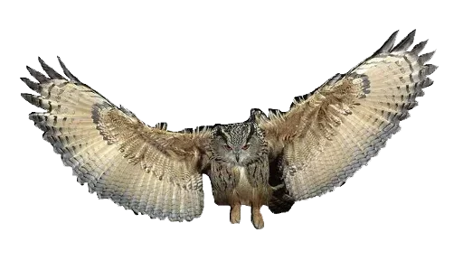 Стикер i cant breathe