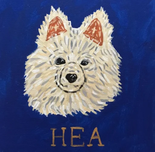 🐶