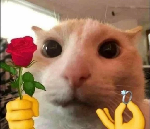 Стикер Котятки