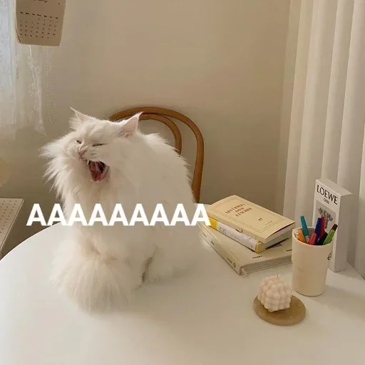 Стикер Official