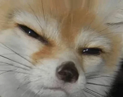 Стикер Official