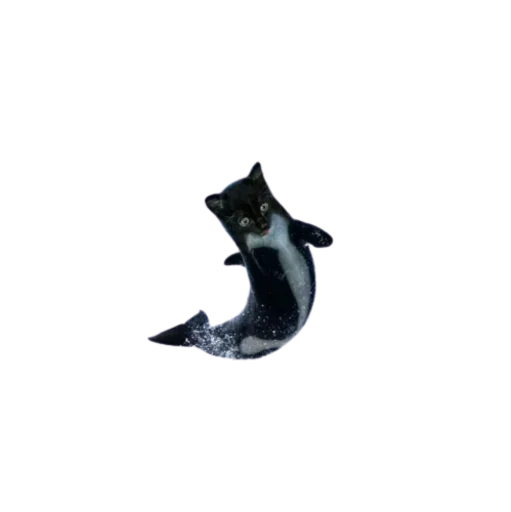 Стикер Cat Faces